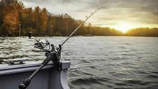 Pesca sustentável a caminho de se consolidar na Europa