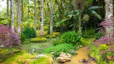 Proposta do Plano Nacional de Restauro da Natureza entra em consulta pública