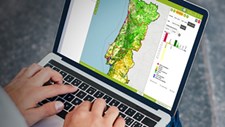 Plataforma informa em tempo real sobre ocupação dos solos
