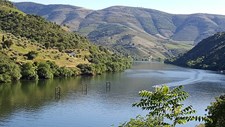 Políticas intersetoriais para conservar a biodiversidade