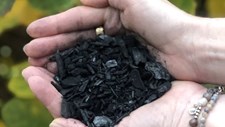 Produzido método para reduzir DDT nos solos contaminados