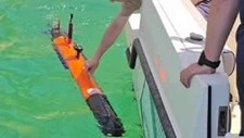 Projeto DiverSea estuda ecossistemas marinhos com tecnologia de ponta