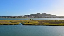 Projeto visa restaurar habitats degradados ao longo da costa