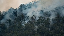 É recomendável que Portugal se prepare para enfrentar os impactos da mudança climática até ao fim do século