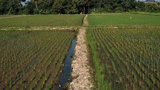 Reutilização de água na agricultura: que desafios enfrentamos?