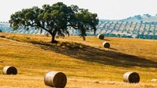 Lançado simulador para medir a pegada ecológica das empresas