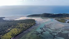 Subida do nível do mar pode afetar recursos alimentares disponíveis nos estuários