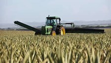 Taxa de reciclagem e de valorização de embalagens agrícolas cresce