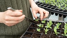 Taxa de reciclagem de embalagens agrícolas volta a crescer em 2023