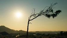 A temperatura média do último ano ultrapassou a era pré-industrial em 1,51ºC
