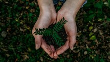 O tempo e as alterações climáticas