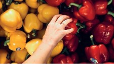 WASTELESS: inovações tecnológicas para combater o desperdício alimentar e promover a sustentabilidade