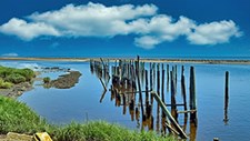 Um guia para restaurar zonas ecológicas e marinhas