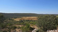 Consulta pública para novas zonas protegidas no Algarve