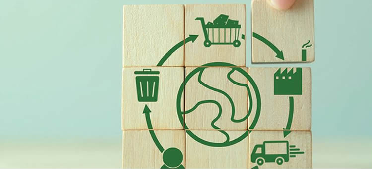 A análise do ciclo de vida e a circularidade