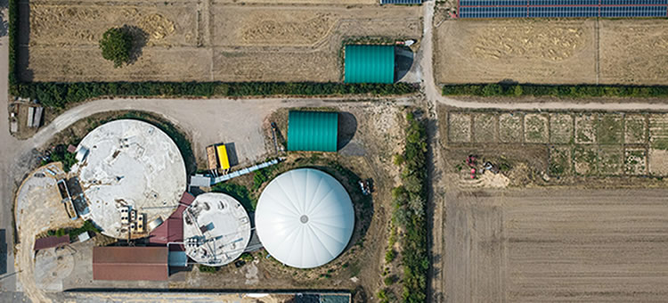 Bioenergia em Portugal - do plano de ação à descarbonização real