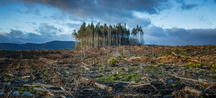 Duas faces da mesma moeda