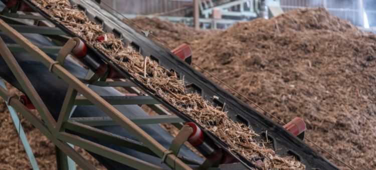 Da insustentabilidade linear à bioeconomia circular