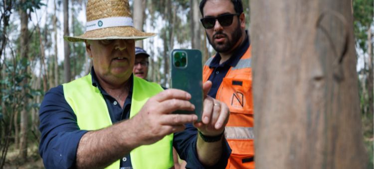 Tecnologia e robotização no contexto florestal