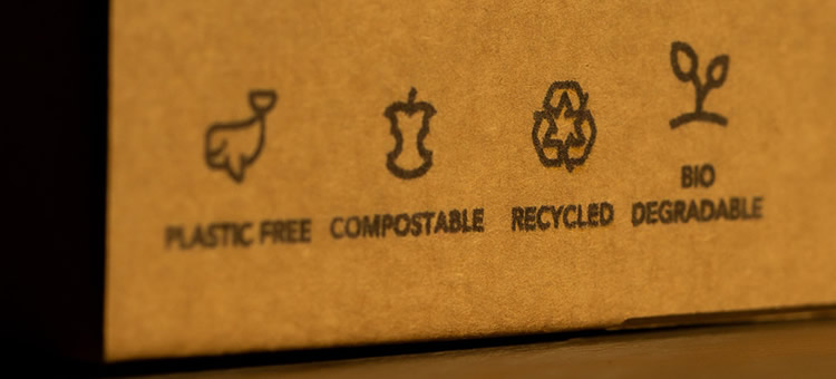 Sustentabilidade: o novo normal