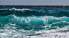 Portugal falha metas europeias de proteção de área marinhas